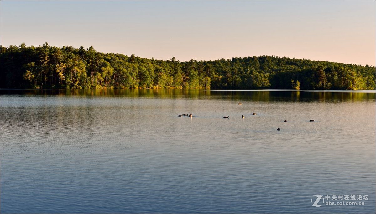 休闲随拍（337）