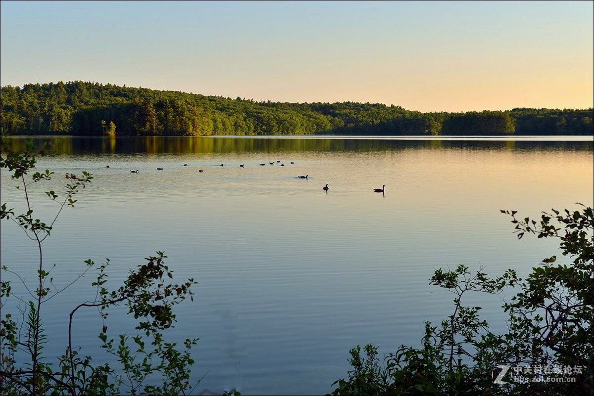 休闲随拍（337）