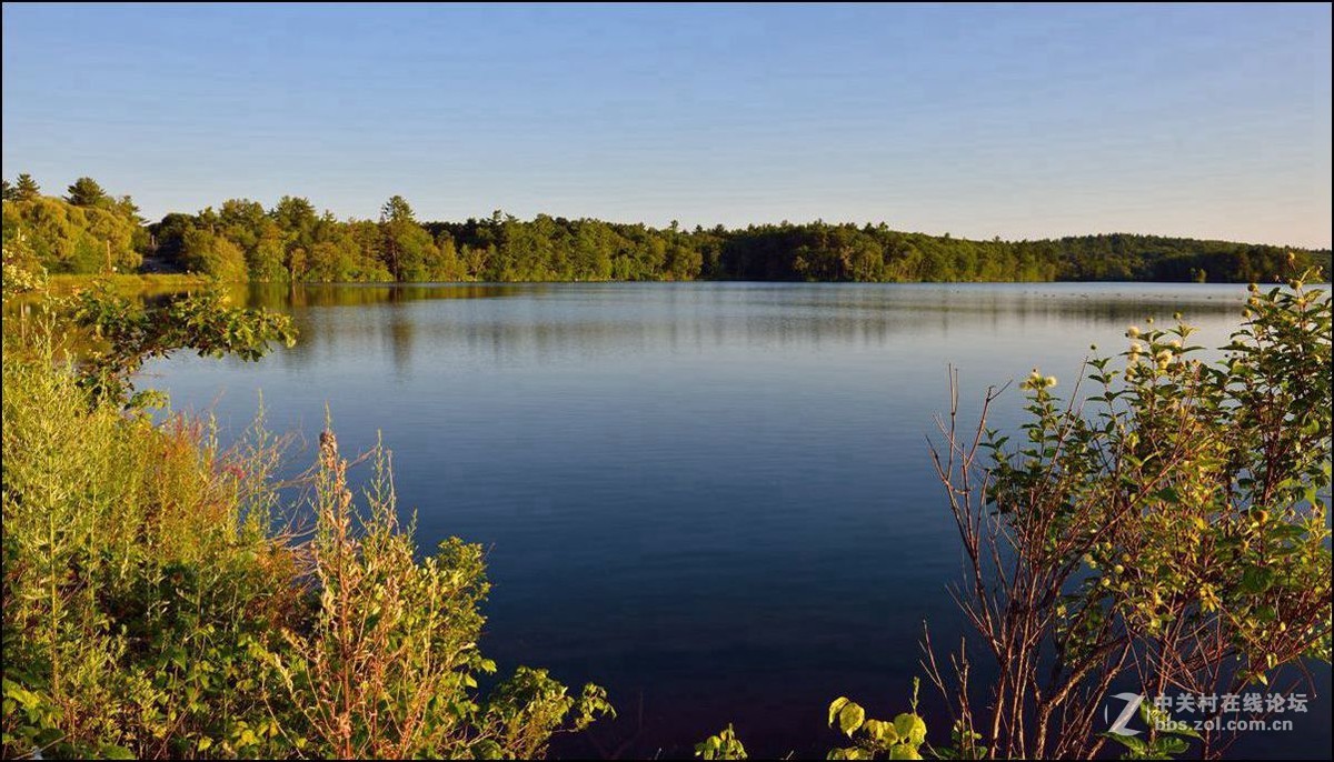 休闲随拍（337）