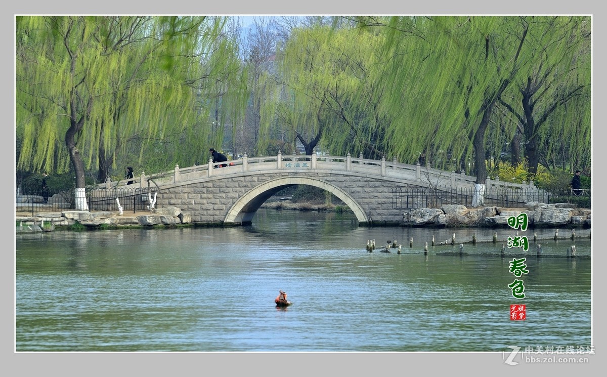 #ZOL月赛-三月风光无限好#“玉兰花开春意浓，明湖两岸舞春风”