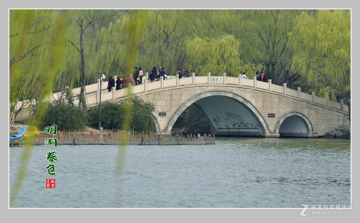 #ZOL月赛-三月风光无限好#“玉兰花开春意浓，明湖两岸舞春风”