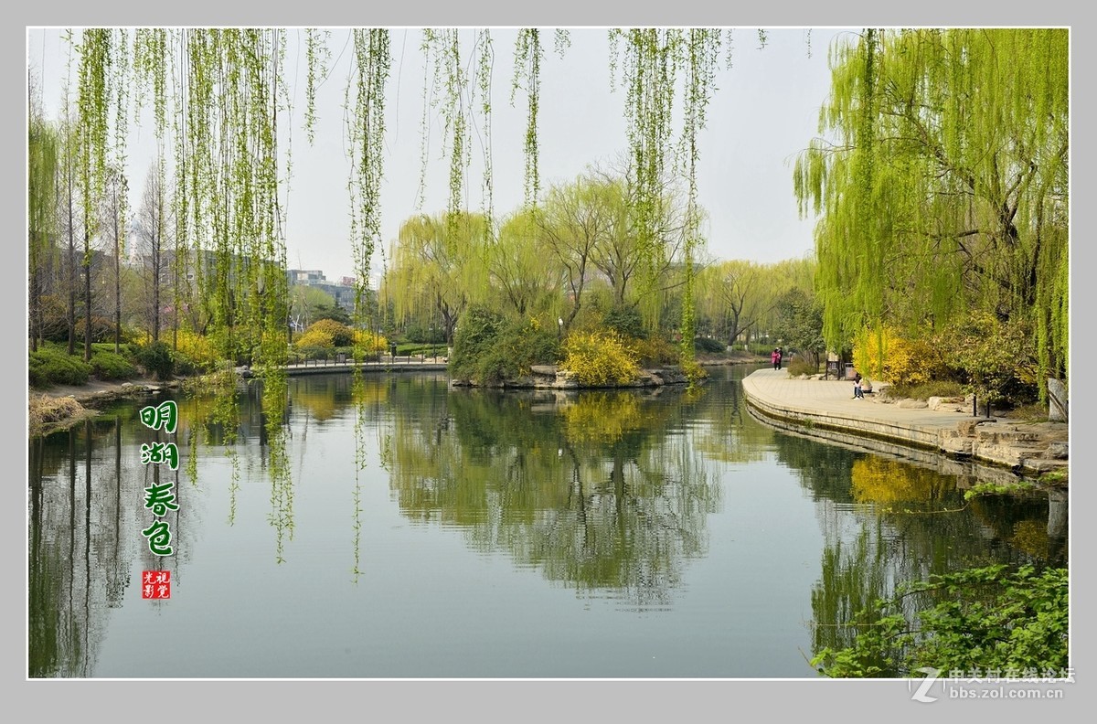 #ZOL月赛-三月风光无限好#“玉兰花开春意浓，明湖两岸舞春风”
