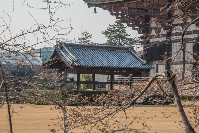 日本東大寺3