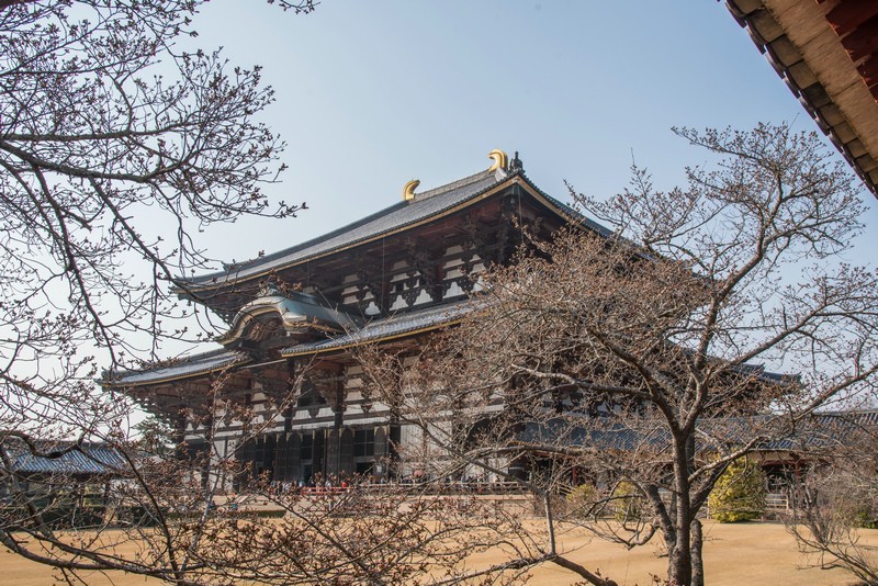 日本東大寺3