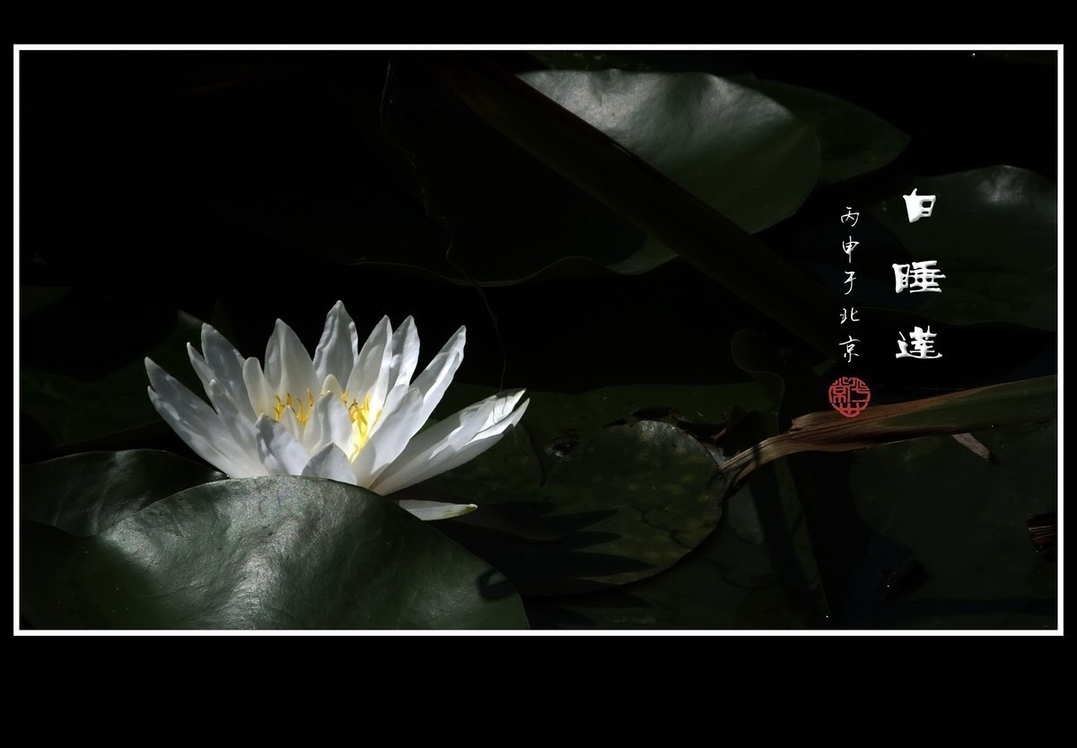 #版主坐堂#2018年2月份《承德》优秀作品选辑