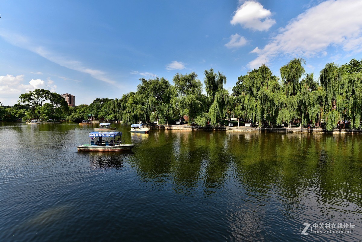 夏天的昆明翠湖4