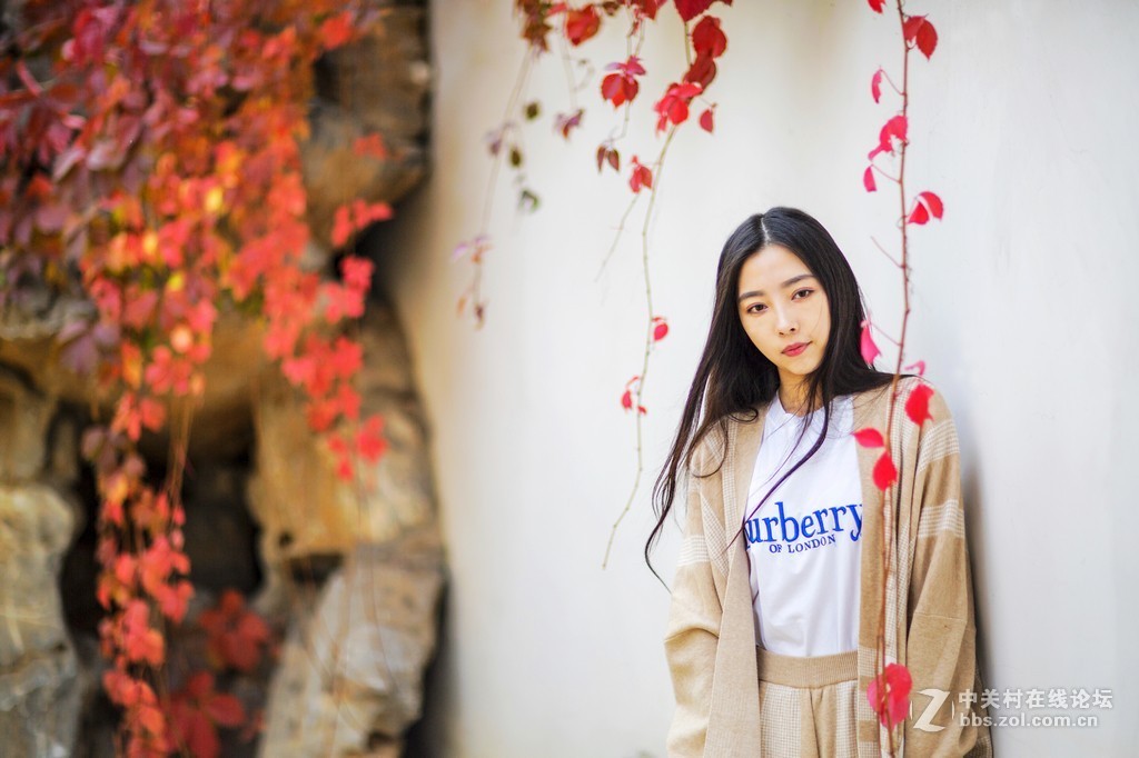 #佳能EOS R我的视角#【秋色意浓】--佳能园博园摄友聚会活动