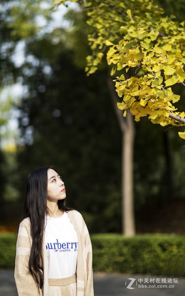 #佳能EOS R我的视角#【秋色意浓】--佳能园博园摄友聚会活动