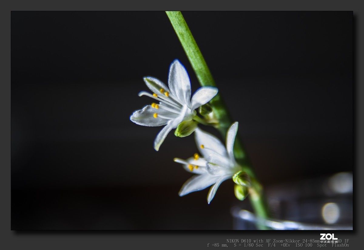 这个版块怎么没人呢？