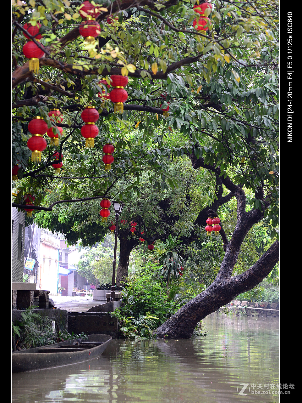 周日雨中漫游水乡逢简村。