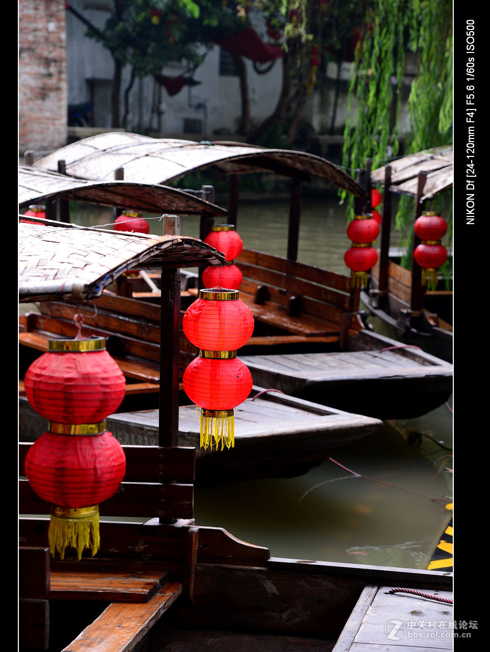 周日雨中漫游水乡逢简村。