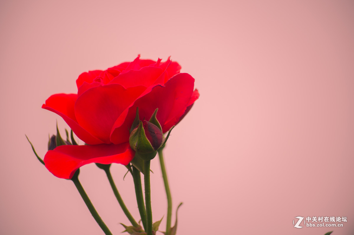 #版主坐堂#小五星空(中国)2017年4月精品荟萃