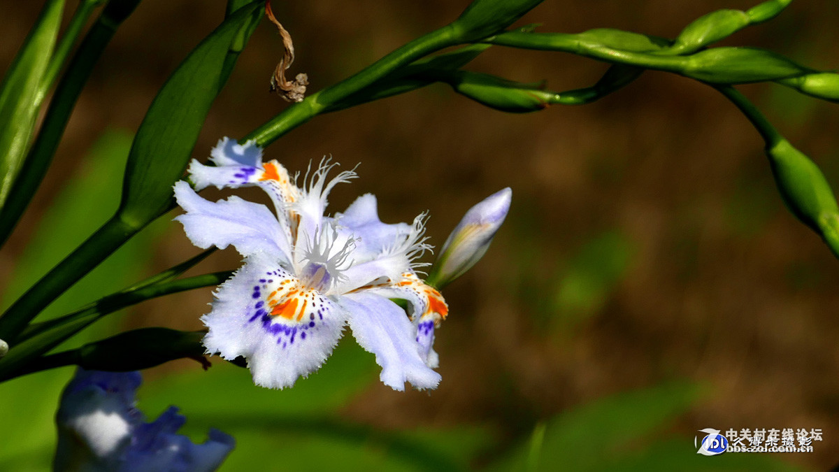#版主坐堂#小五星空(中国)2017年4月精品荟萃