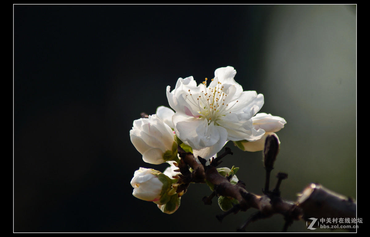 #版主坐堂#小五星空(中国)2017年4月精品荟萃