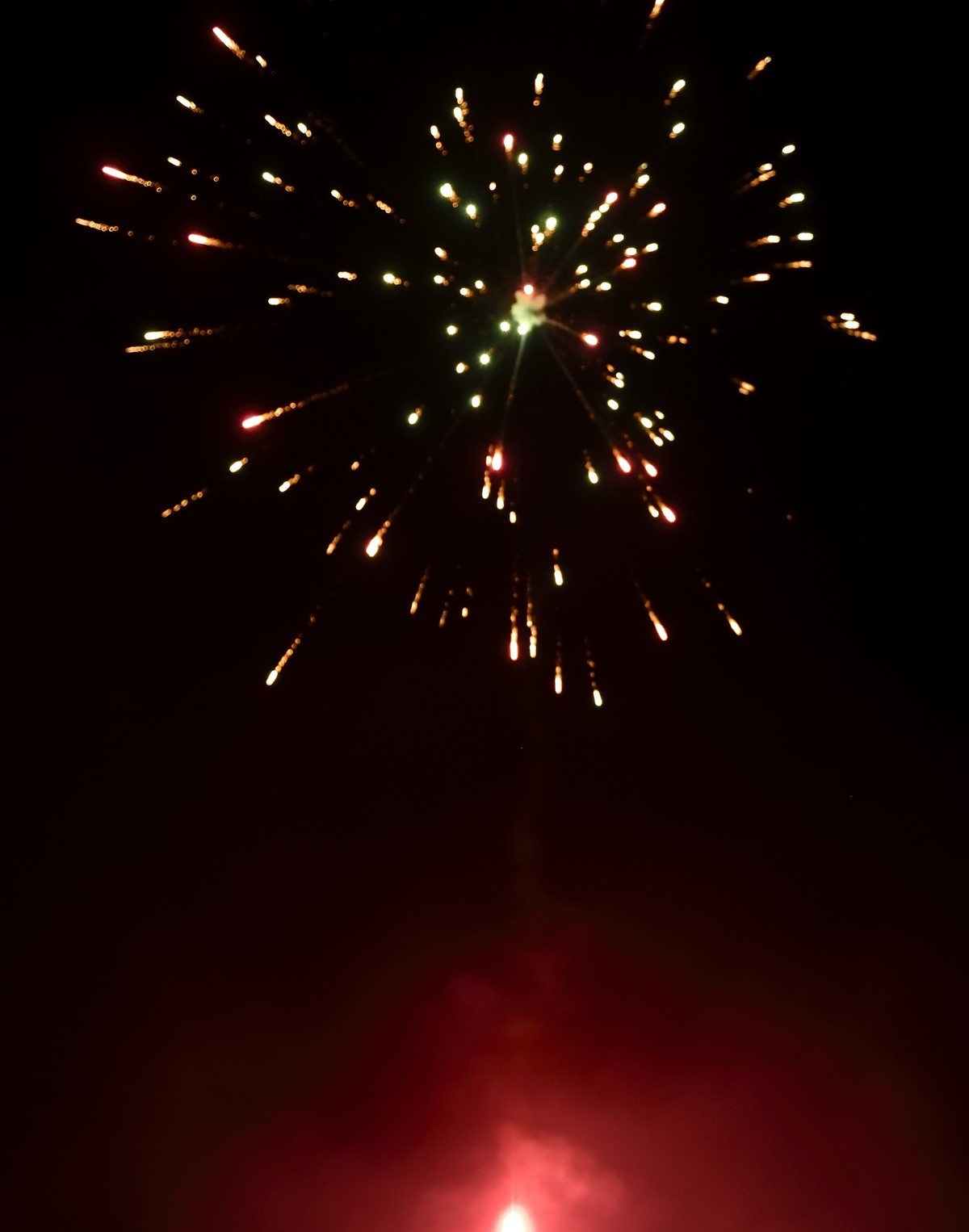 尼康D810配尼康24-70mm f/2.8 G试拍 山野小品-2