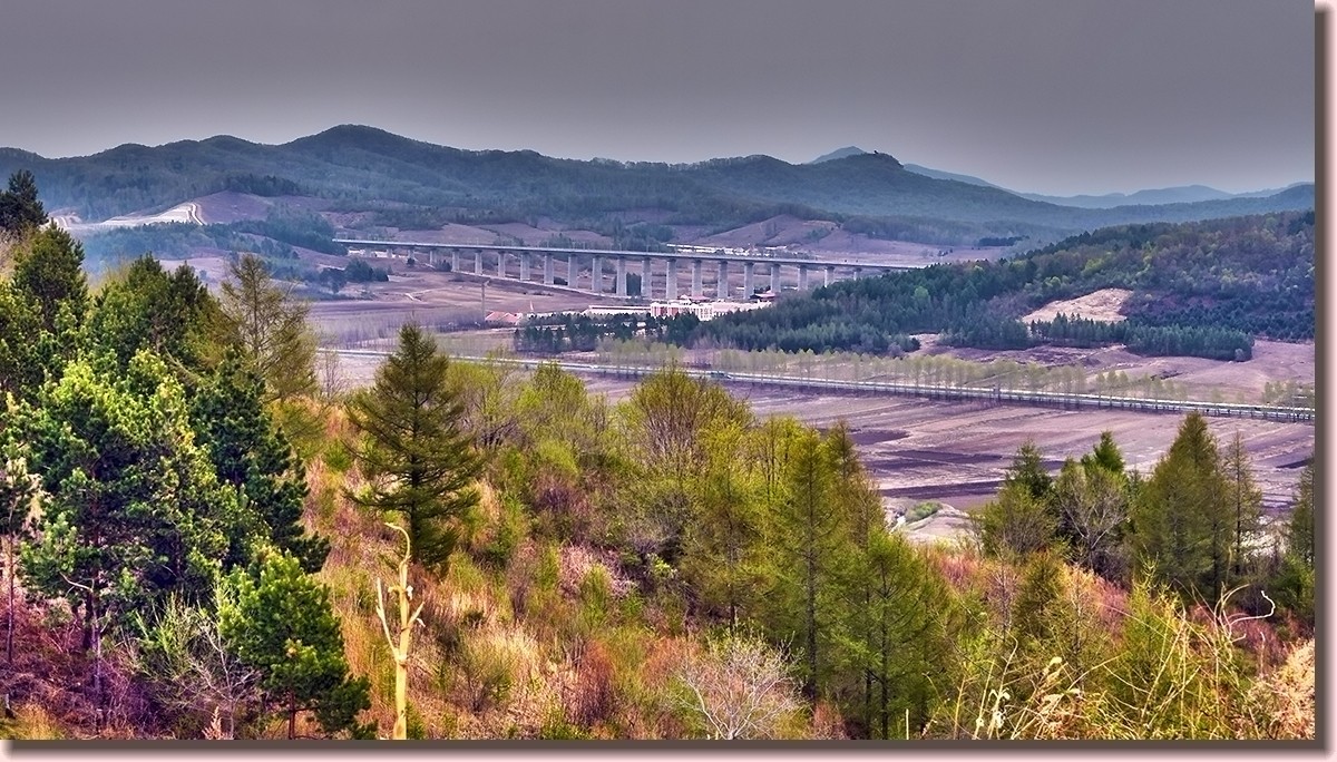 18.5.2嫩芽初上落叶松——北国之春