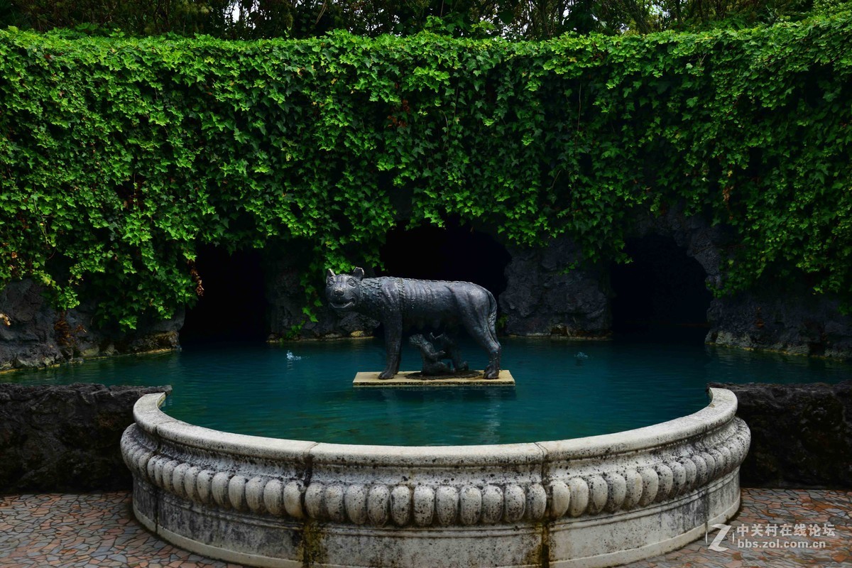 新西兰——汉密尔顿世界之窗花园