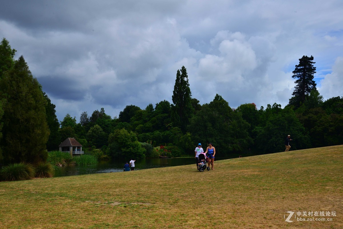 新西兰——汉密尔顿世界之窗花园