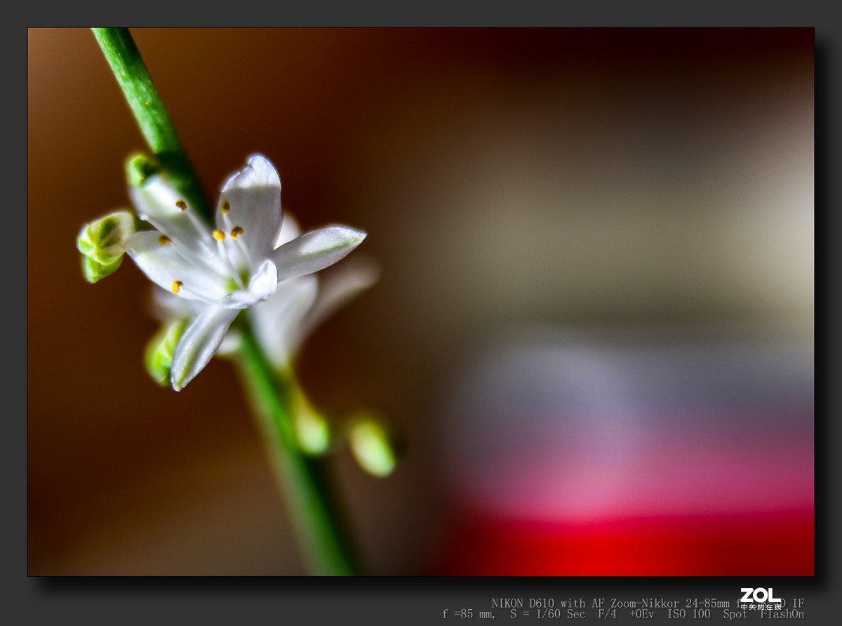 这个版块怎么没人呢？