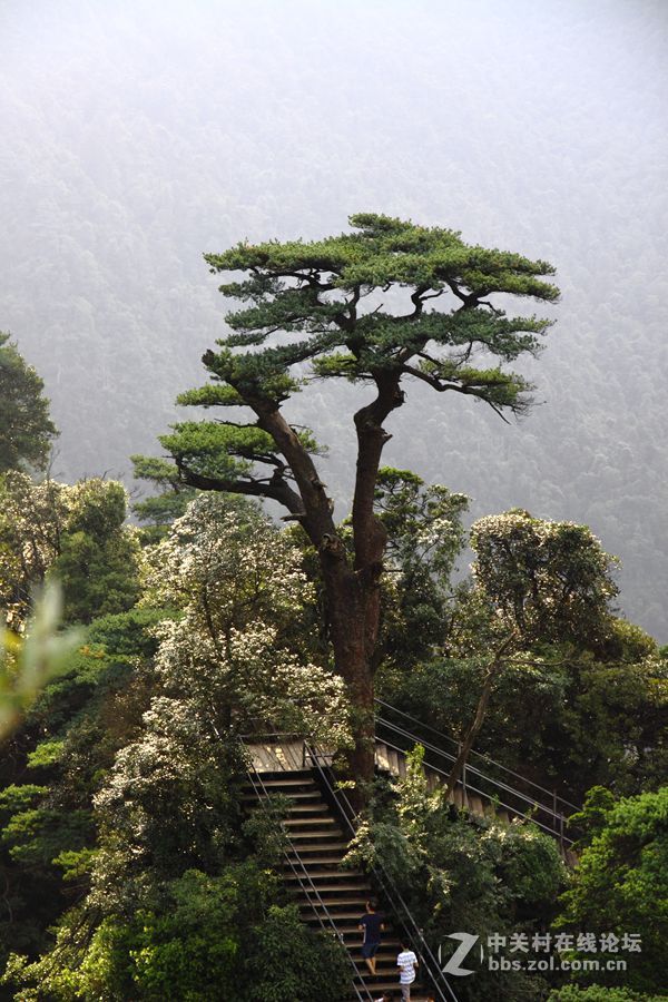 湖南莽山将军寨风光。