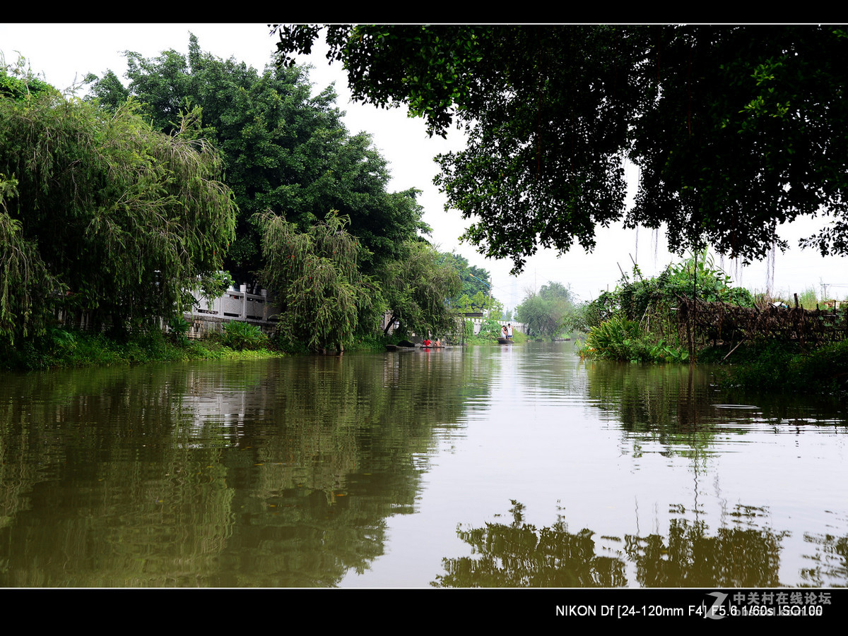 周日雨中漫游水乡逢简村。
