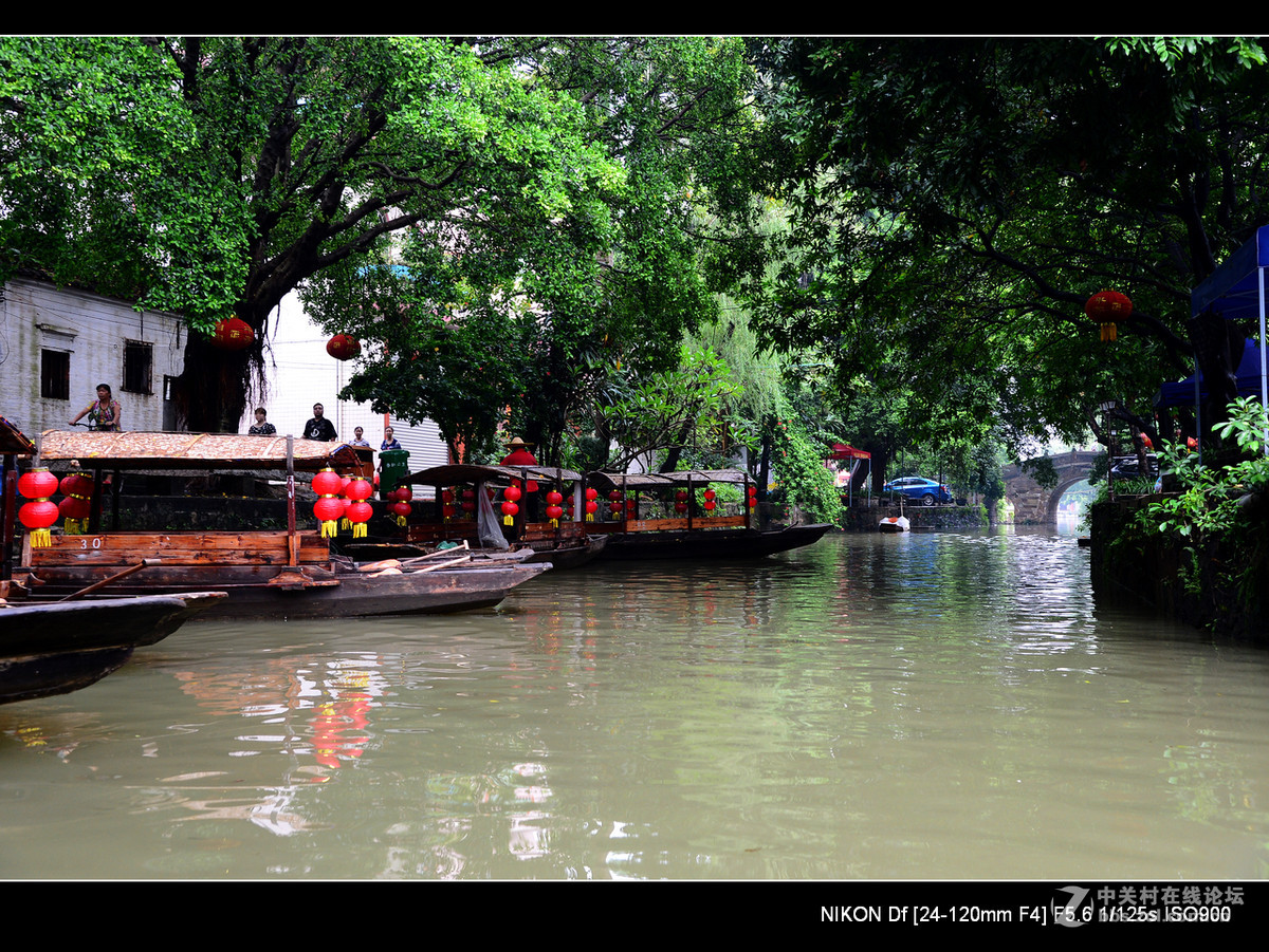 周日雨中漫游水乡逢简村。
