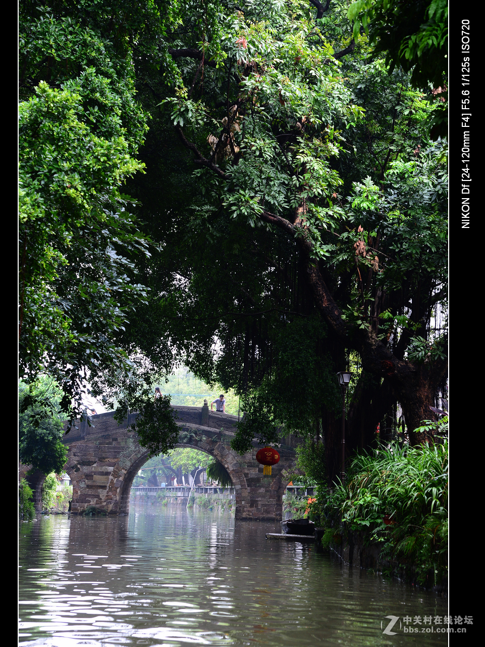 周日雨中漫游水乡逢简村。