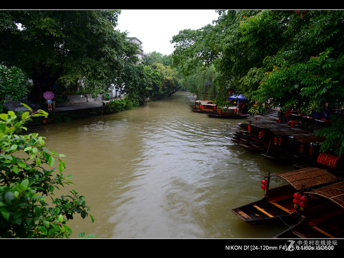 周日雨中漫游水乡逢简村。