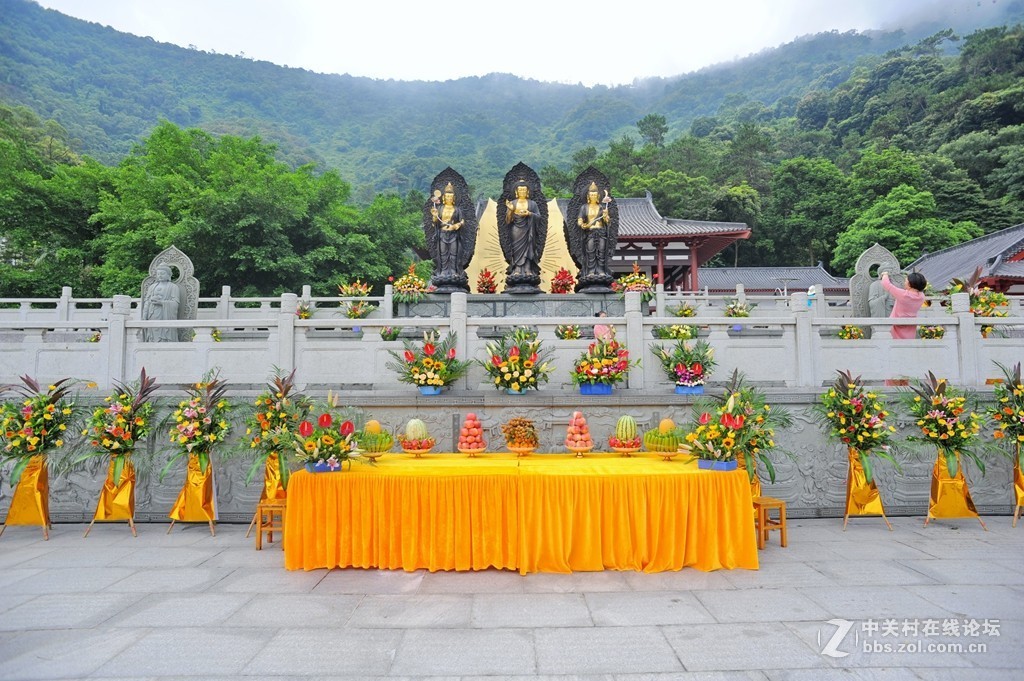 法会随拍