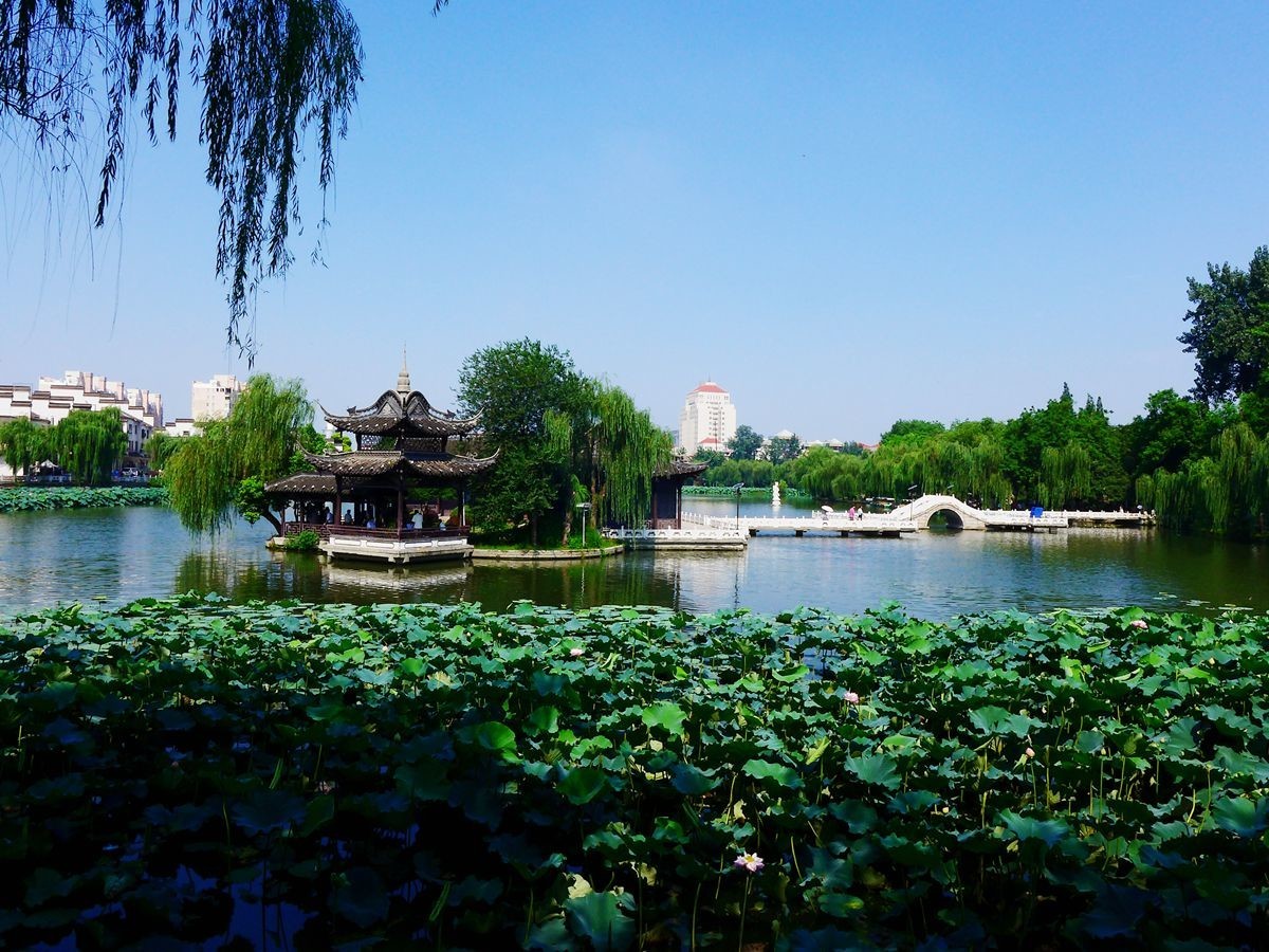 揚州荷花池公園美麗風景之12