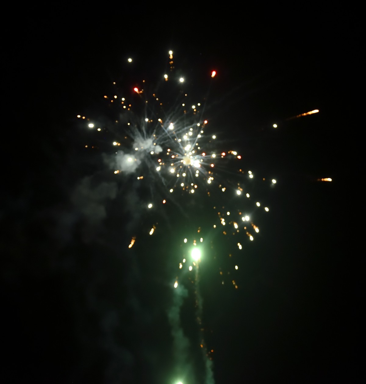 尼康D810配尼康24-70mm f/2.8 G试拍 山野小品-2