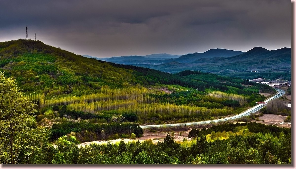 18.5.2嫩芽初上落叶松——北国之春