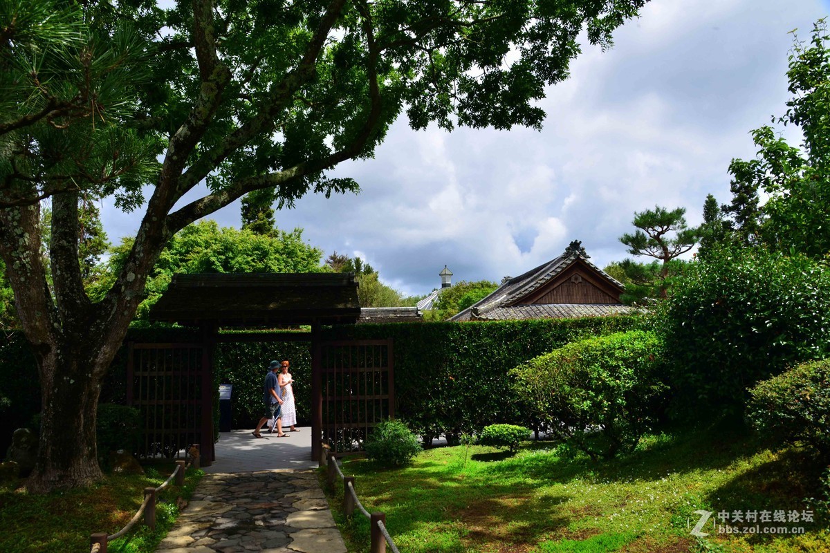 新西兰——汉密尔顿世界之窗花园