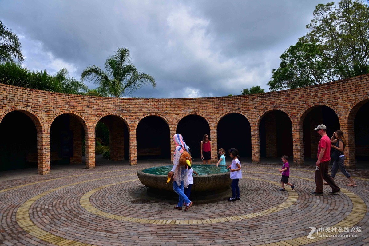 新西兰——汉密尔顿世界之窗花园