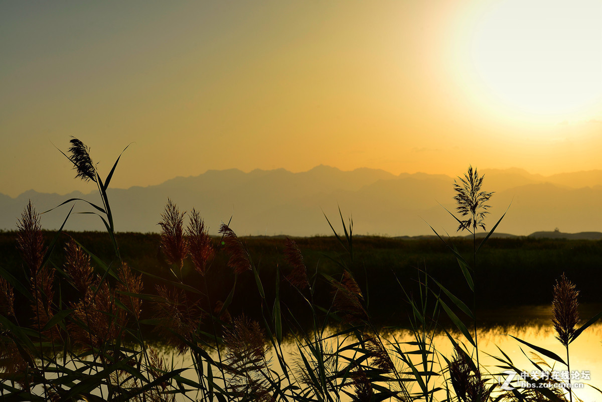 #版主坐堂#小五星空(中国)2016年2月精品荟萃
