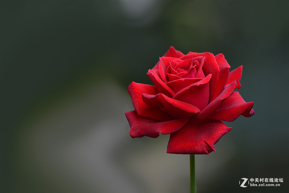 #版主坐堂#小五星空(中国)2016年2月精品荟萃