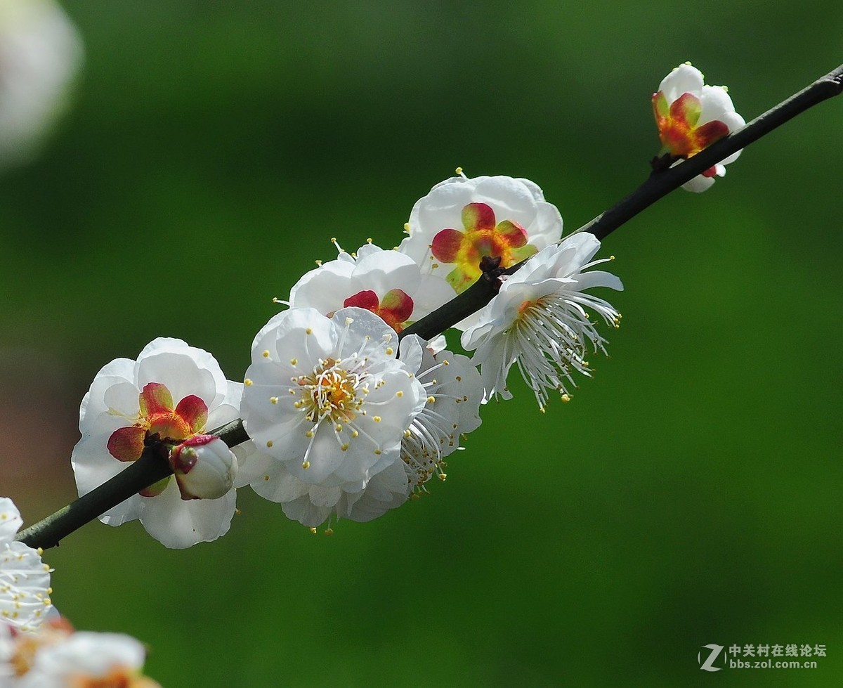 #版主坐堂#小五星空(中国)2016年2月精品荟萃