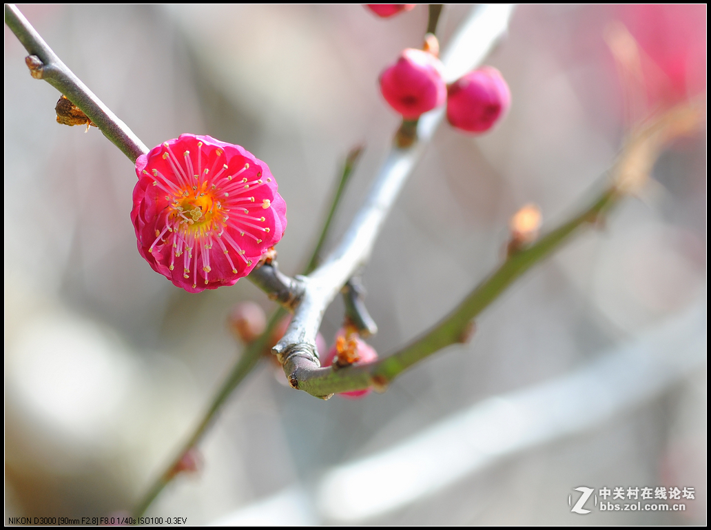 #版主坐堂#小五星空(中国)2016年2月精品荟萃