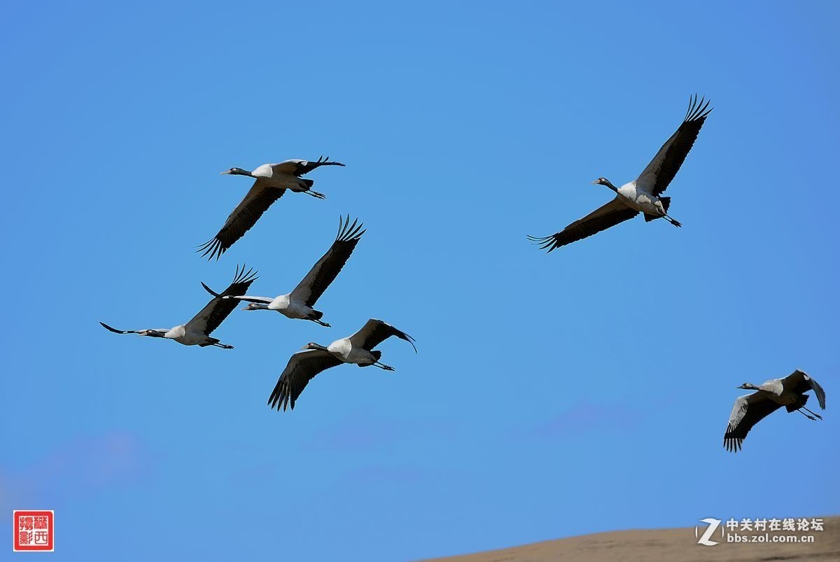 #版主坐堂#小五星空(中国)2016年2月精品荟萃