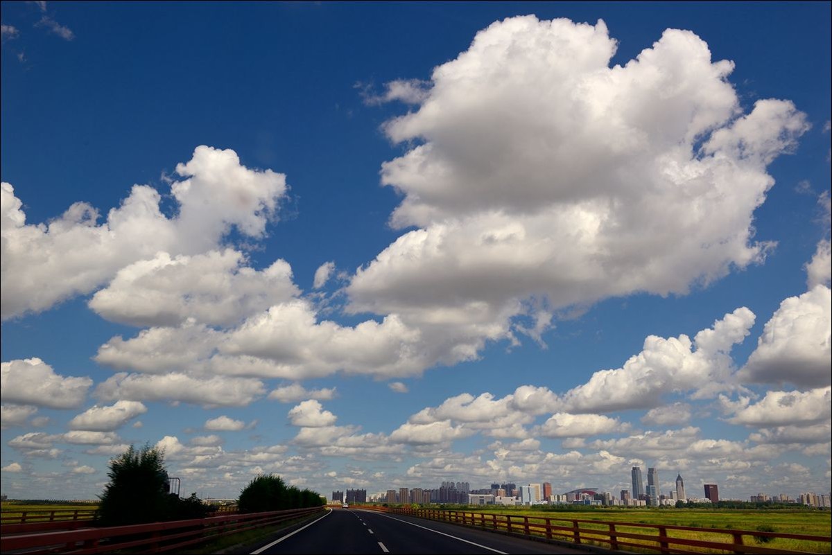 休闲随拍（317）