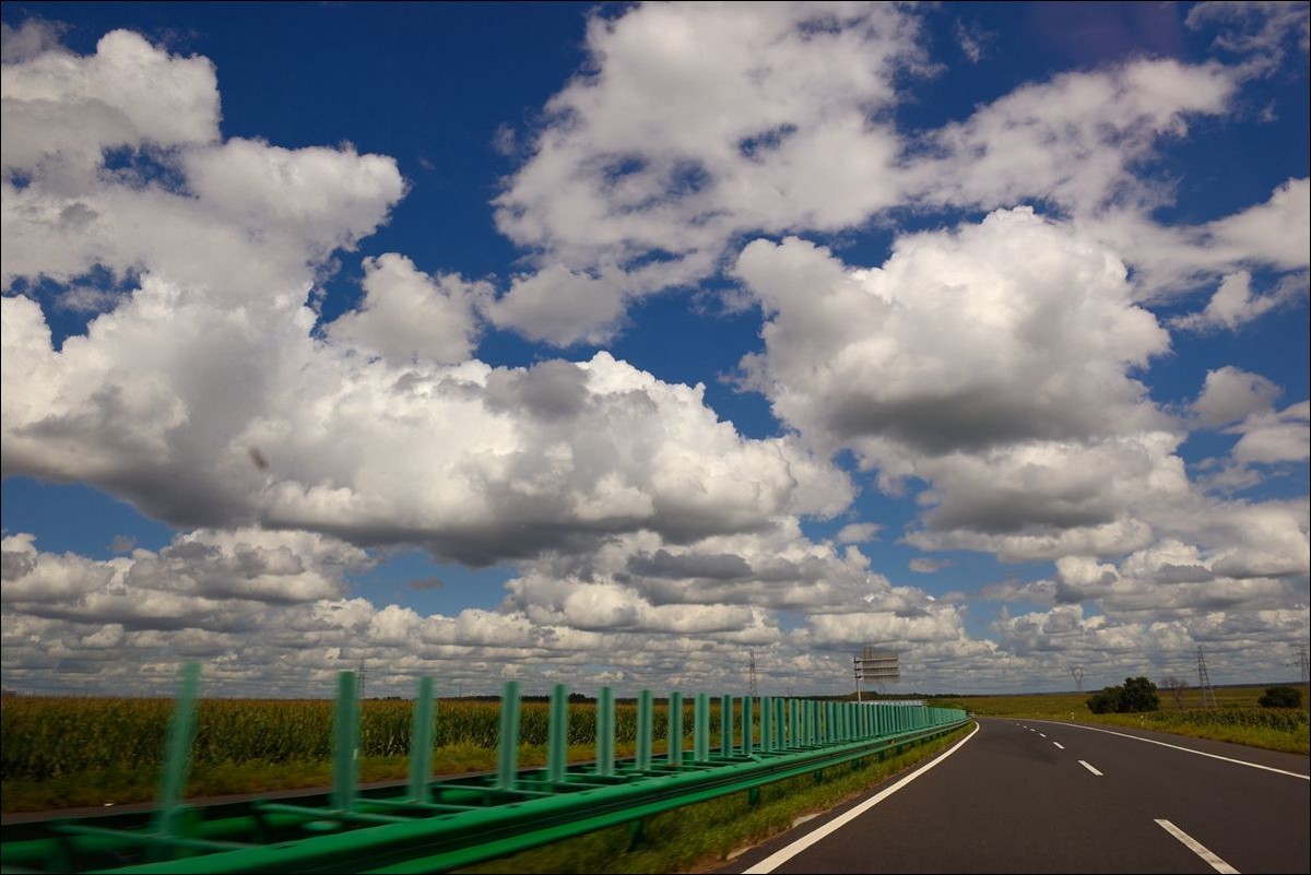 休闲随拍（317）