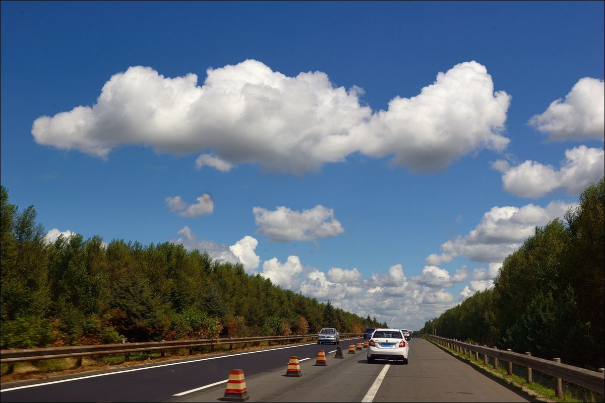 休闲随拍（317）