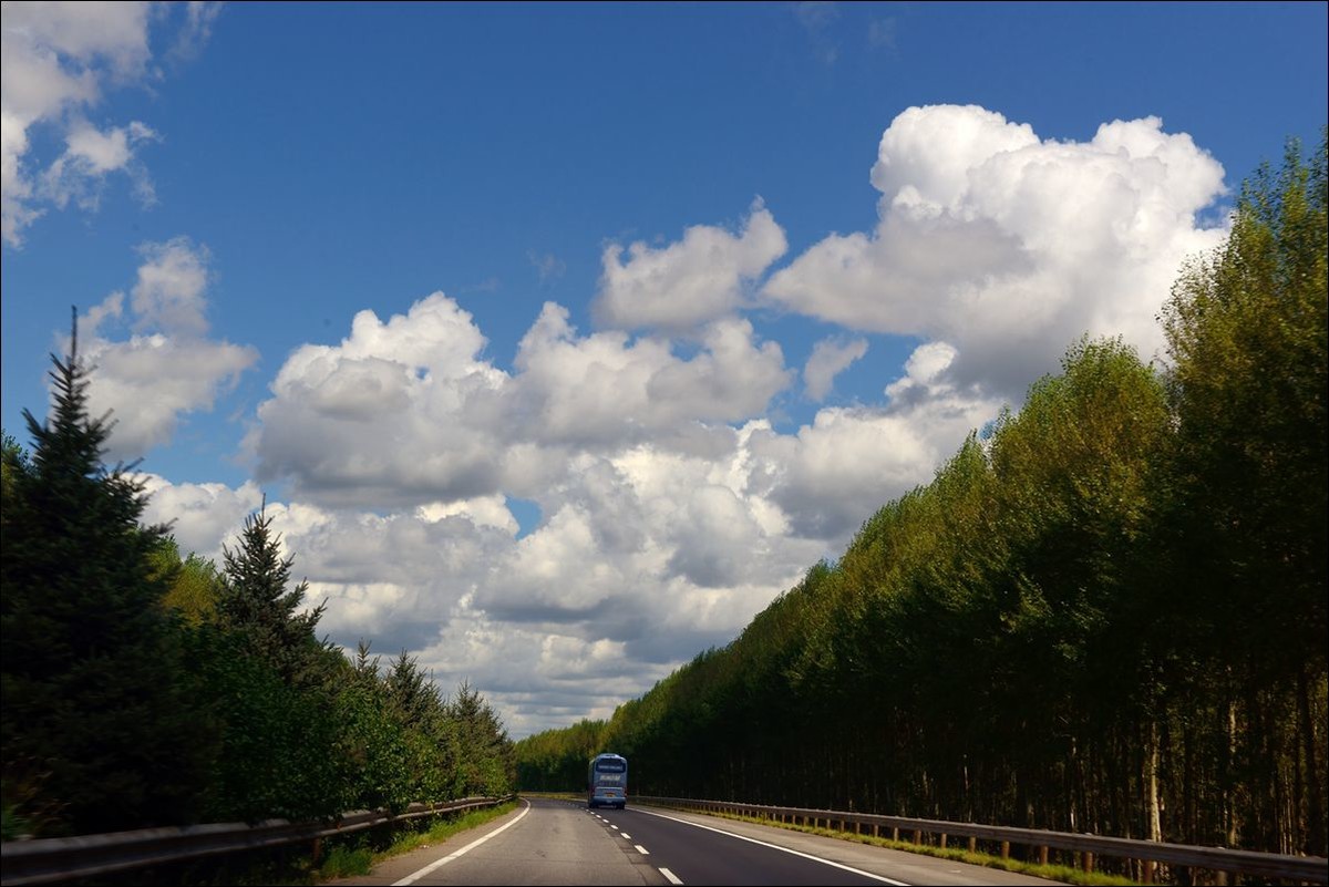 休闲随拍（317）