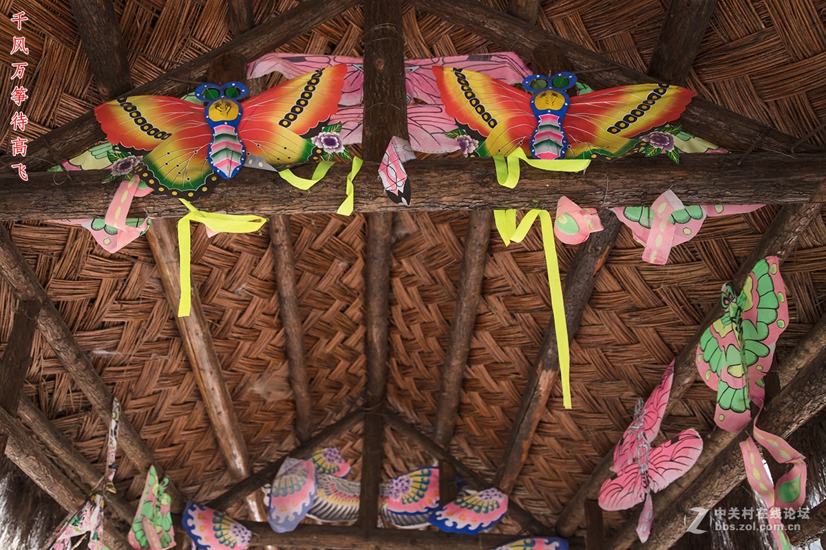 #佳能月赛-与佳能一起去踏青#+龙潭大峡谷寻春（2）