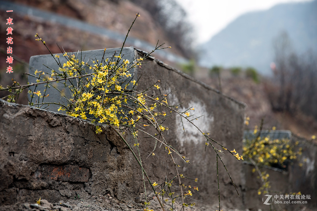 #佳能月赛-与佳能一起去踏青#+龙潭大峡谷寻春（2）