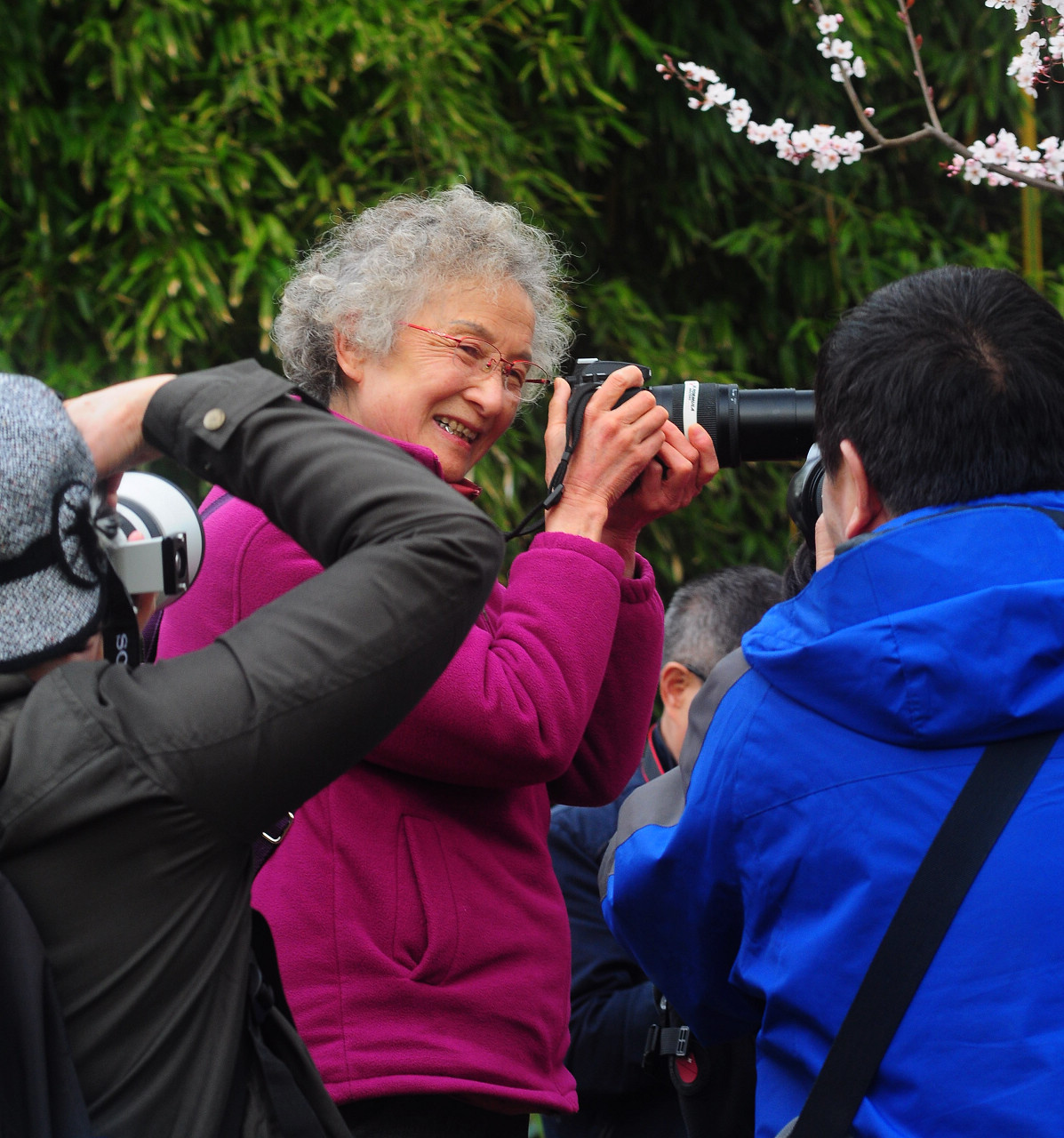 上海大宁公园郁金香花展和老年摄影爱好者们
