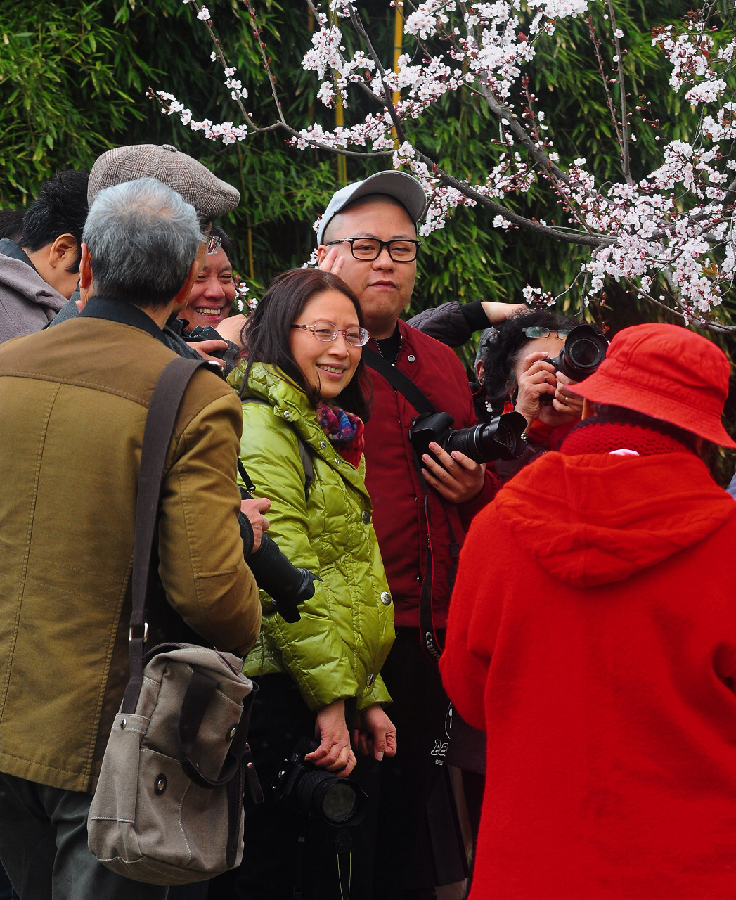 上海大宁公园郁金香花展和老年摄影爱好者们