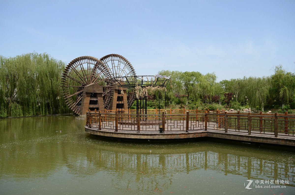 洹水湾牡丹之印象结束篇