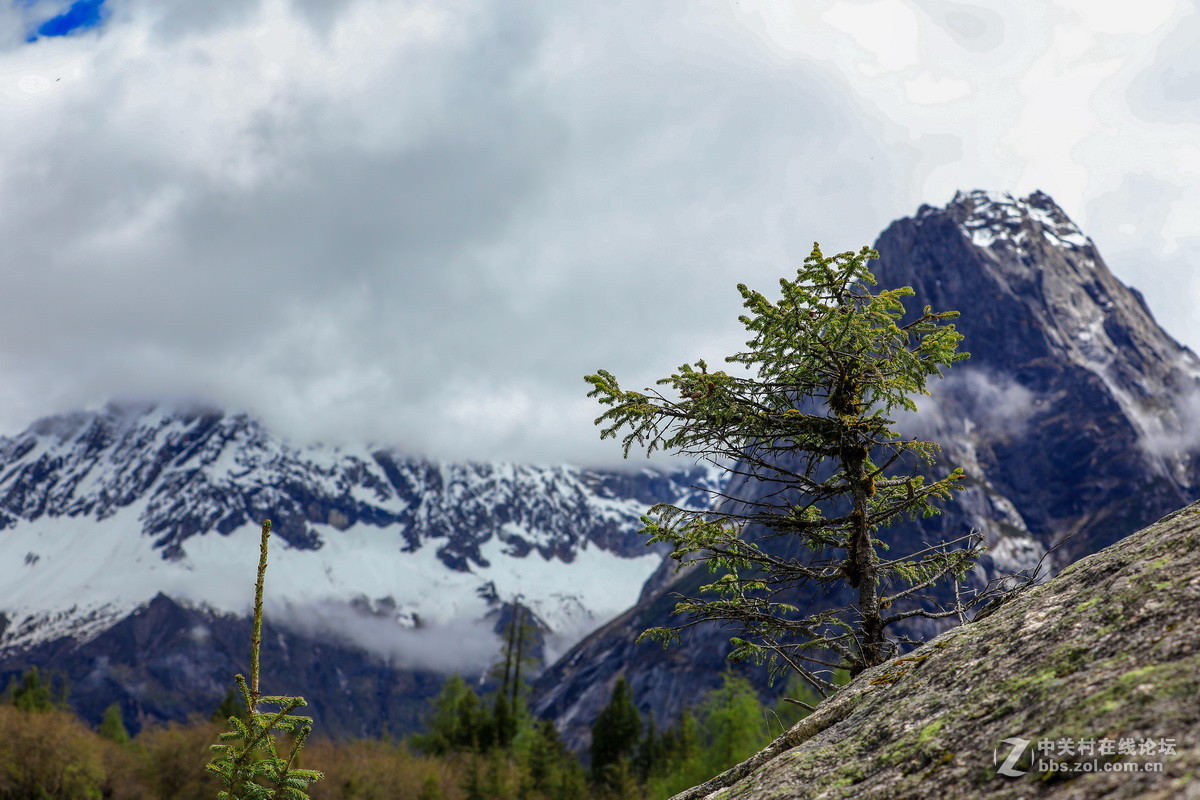 #佳能月赛-人与自然#川西之行一双桥沟（续一）。