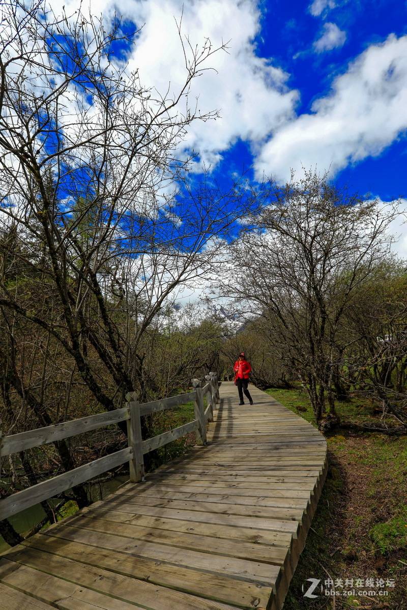 #佳能月赛-人与自然#川西之行一双桥沟（续一）。